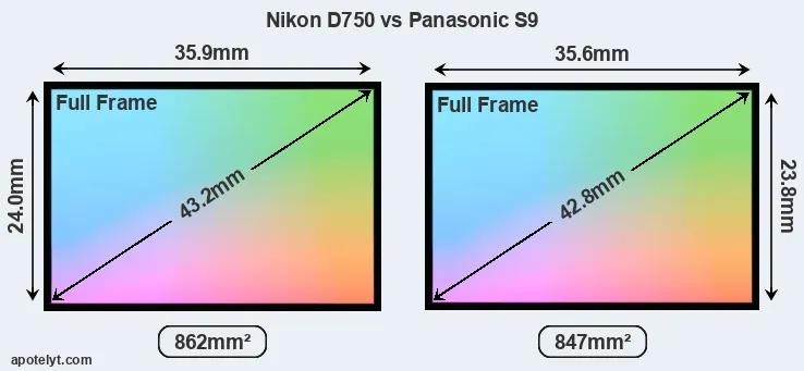 Nikon D750 and Panasonic S9 sensor measures