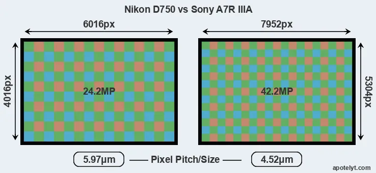 D750 versus A7R IIIA MP