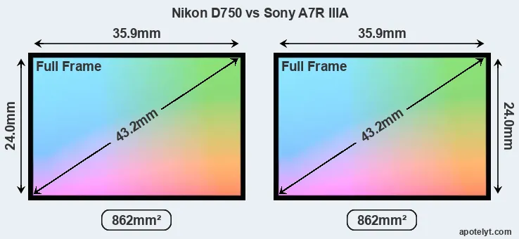 Nikon D750 and Sony A7R IIIA sensor measures
