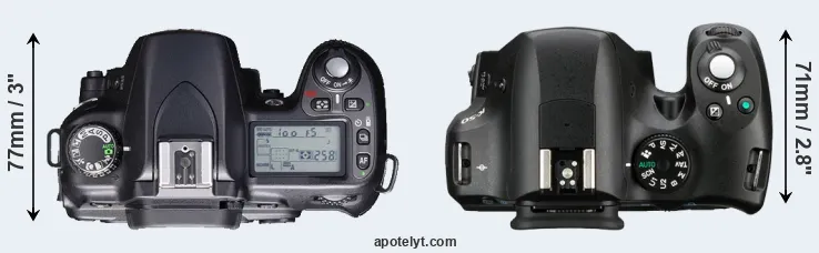 Compare D80 versus K-50 top