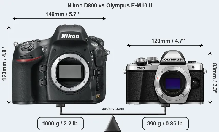 Size Nikon D800 vs Olympus E-M10 II