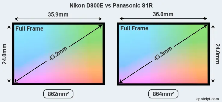 Nikon D800E and Panasonic S1R sensor measures