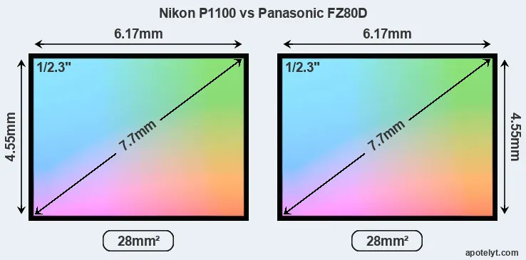 Nikon P1100 and Panasonic FZ80D sensor measures