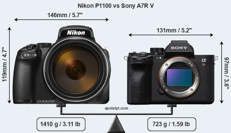 Size Nikon P1100 vs Sony A7R V