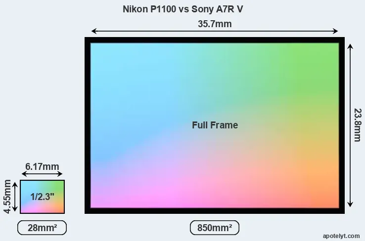 Nikon P1100 and Sony A7R V sensor measures