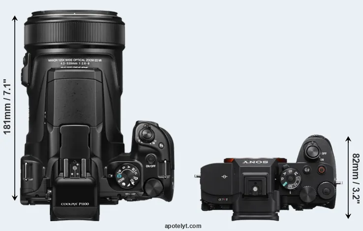 Compare P1100 versus A7R V top