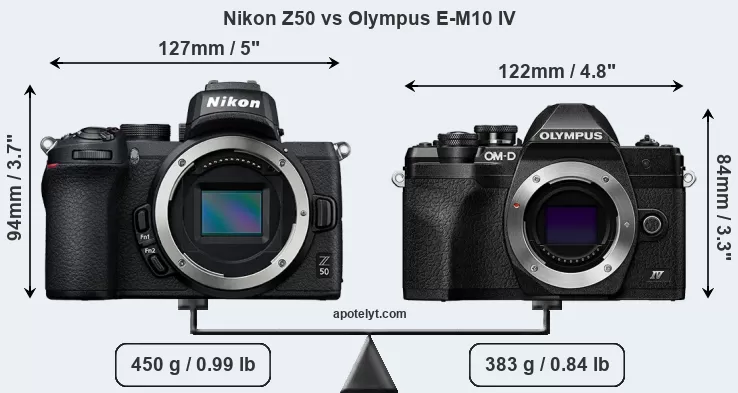 Canon EOS R10 vs Nikon Z50 - The 10 Main Differences - Mirrorless
