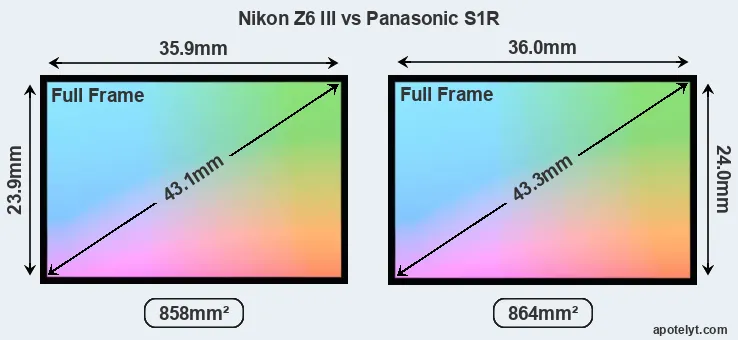 Nikon Z6 III and Panasonic S1R sensor measures