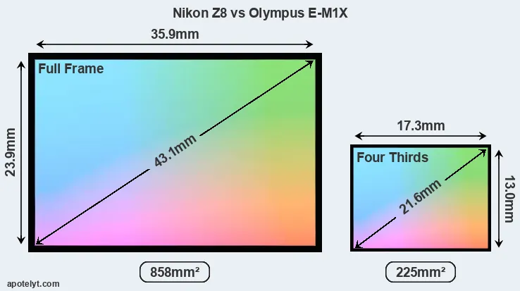 Nikon Z8 and Olympus E-M1X sensor measures