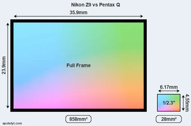 Nikon Z9 and Pentax Q sensor measures