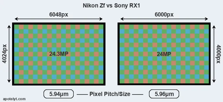 Zf versus RX1 MP
