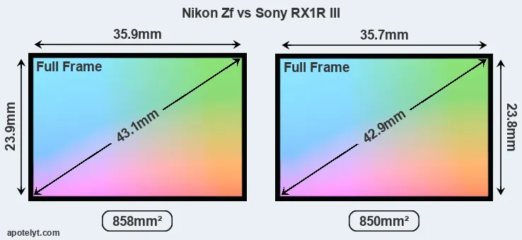 Nikon Zf and Sony RX1R III sensor measures