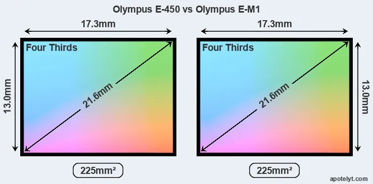 Olympus E-450 and Olympus E-M1 sensor measures