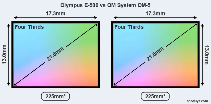 Olympus E-500 and OM System OM-5 sensor measures