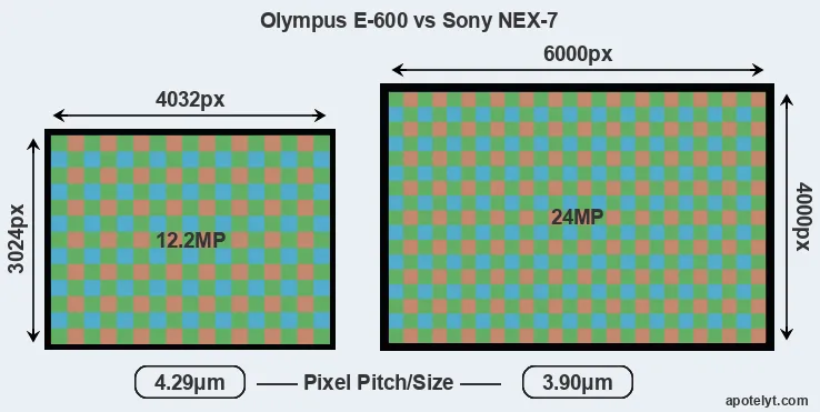 E-600 versus NEX-7 MP