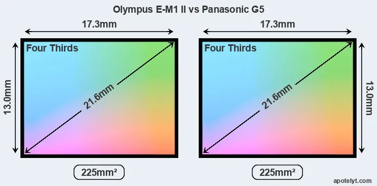 Olympus E-M1 II and Panasonic G5 sensor measures