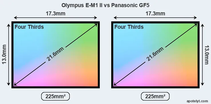 Olympus E-M1 II and Panasonic GF5 sensor measures