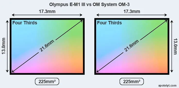 Olympus E-M1 III and OM System OM-3 sensor measures