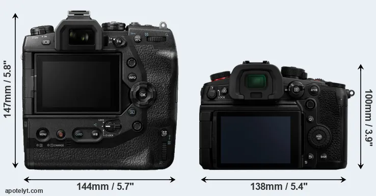 Olympus E-M1X vs Panasonic GH7 Comparison Review