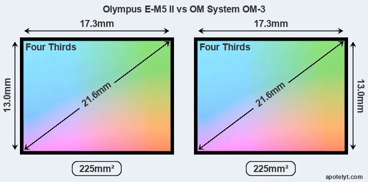Olympus E-M5 II and OM System OM-3 sensor measures
