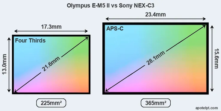 Olympus E-M5 II and Sony NEX-C3 sensor measures