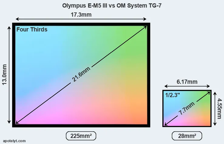 Olympus E-M5 III and OM System TG-7 sensor measures