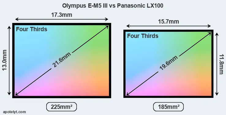 Olympus E-M5 III and Panasonic LX100 sensor measures