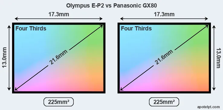 Olympus E-P2 and Panasonic GX80 sensor measures