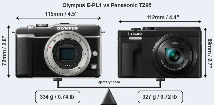 Size Olympus E-PL1 vs Panasonic TZ95