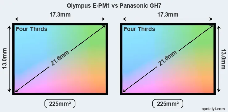Olympus E-PM1 and Panasonic GH7 sensor measures