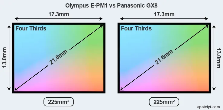 Olympus E-PM1 and Panasonic GX8 sensor measures