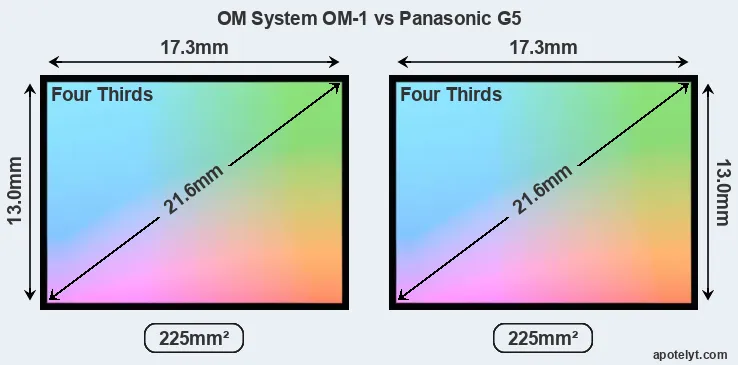 OM System OM-1 and Panasonic G5 sensor measures