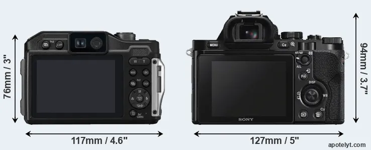 Comparison FT7 or A7S rear