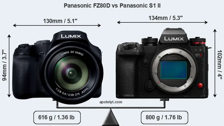 Size Panasonic FZ80D vs Panasonic S1 II