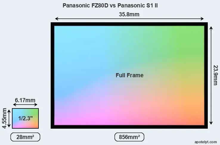Panasonic FZ80D and Panasonic S1 II sensor measures