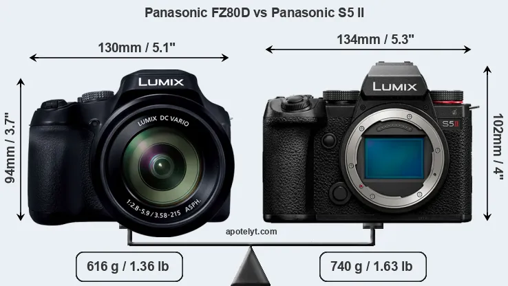 Size Panasonic FZ80D vs Panasonic S5 II