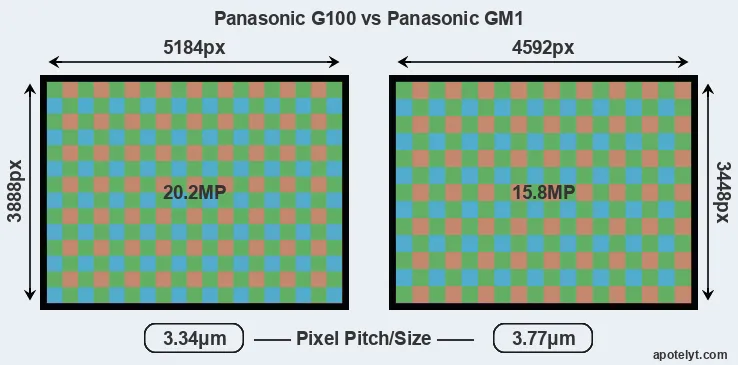 G100 versus GM1 MP