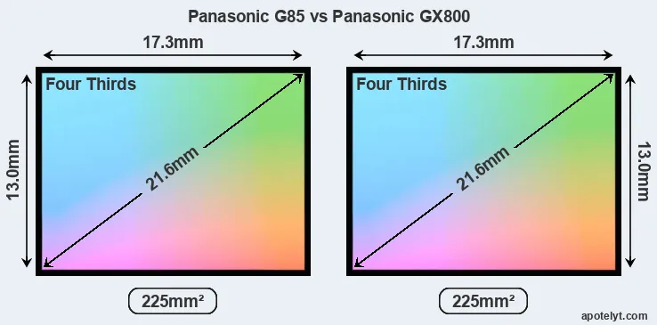 Panasonic G85 and Panasonic GX800 sensor measures