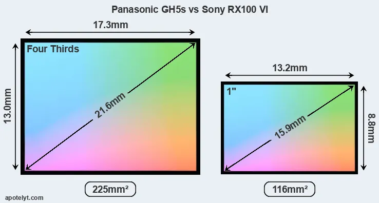 Panasonic GH5s and Sony RX100 VI sensor measures