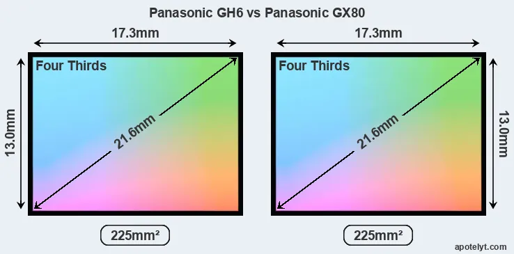 Panasonic GH6 and Panasonic GX80 sensor measures