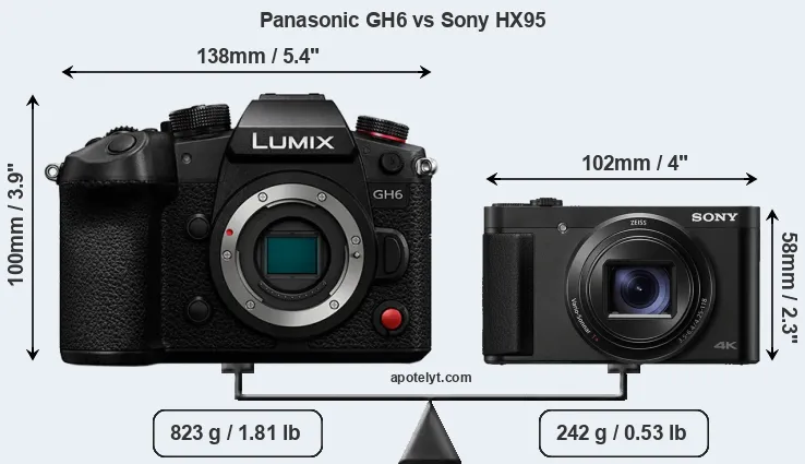 Size Panasonic GH6 vs Sony HX95