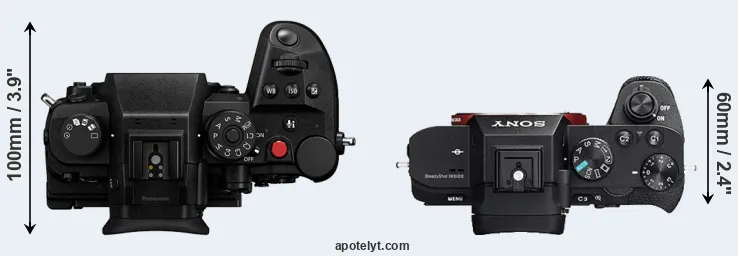 Compare GH7 versus A7R II top
