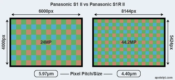 S1 II versus S1R II MP