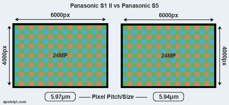 S1 II versus S5 MP