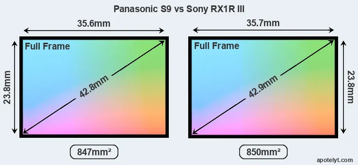 Panasonic S9 and Sony RX1R III sensor measures