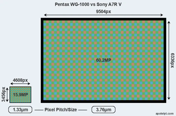 WG-1000 versus A7R V MP