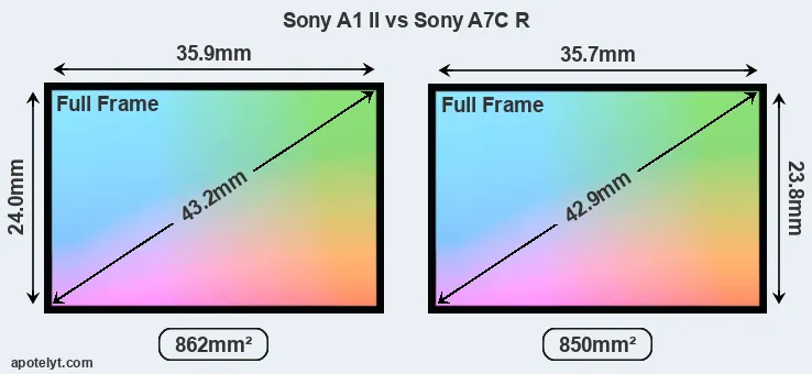 Sony A1 II and Sony A7C R sensor measures
