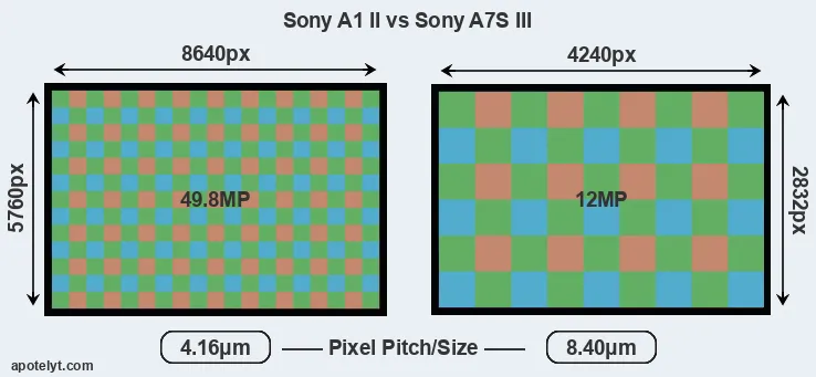 A1 II versus A7S III MP