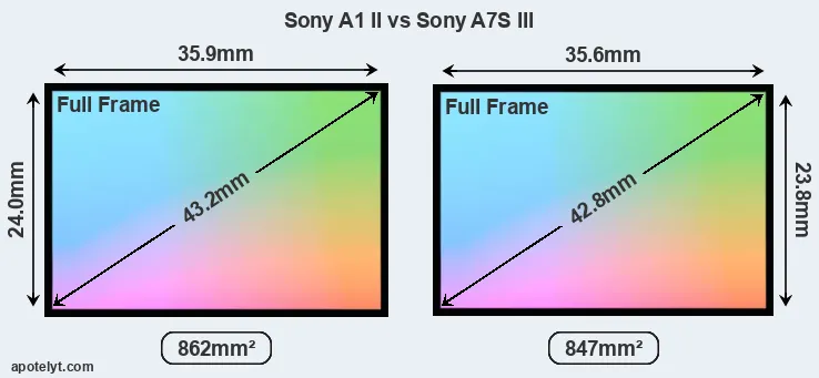 Sony A1 II and Sony A7S III sensor measures