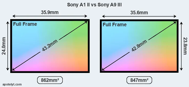 Sony A1 II and Sony A9 III sensor measures